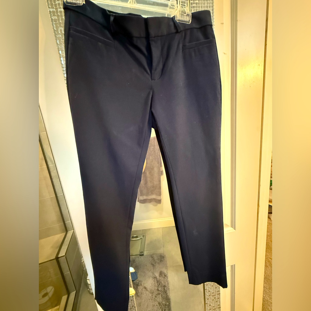Banana Republic Sloane Navy Size 2